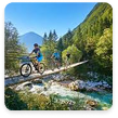 Mountain Biking Trails